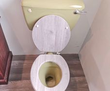toilet