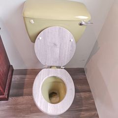 toilet
