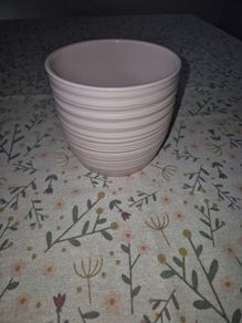 Plant pot