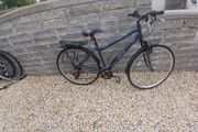 Adults Bike
