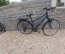 Adults Bike