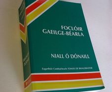 Focloir Gaeilge - Bearla Dictionary Irish language Ireland