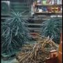 Christmas tree stands Image 5