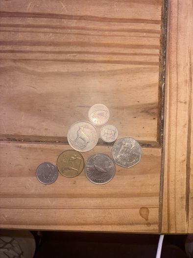 collection on Irish Coins