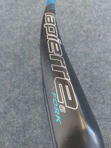 Carbon fork