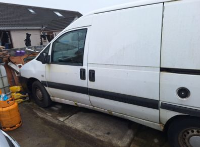 Peugeot Expert- Snow white