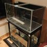 Reef Tank Image 2