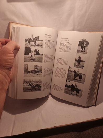 Give Your Horse a Chance (Allen's Classic Series) (Hardcover)  Lt. Col. A. L. D'Endrody