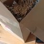 free packing materials Image 2