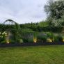 planters custom (Free delivery) Image 3