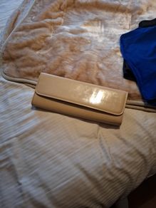 Aldo Handbag