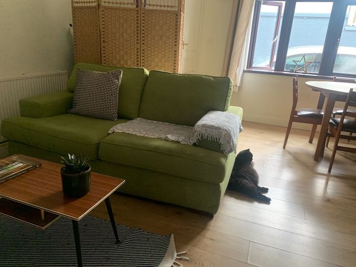 Free couch for restoration