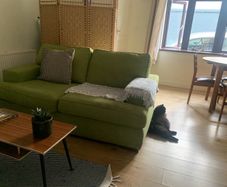 Free couch for restoration