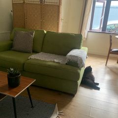 Free couch for restoration