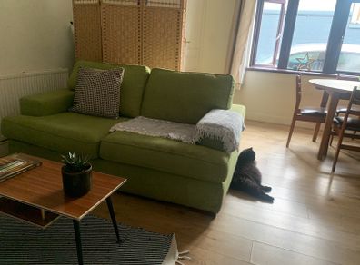 Free couch for restoration
