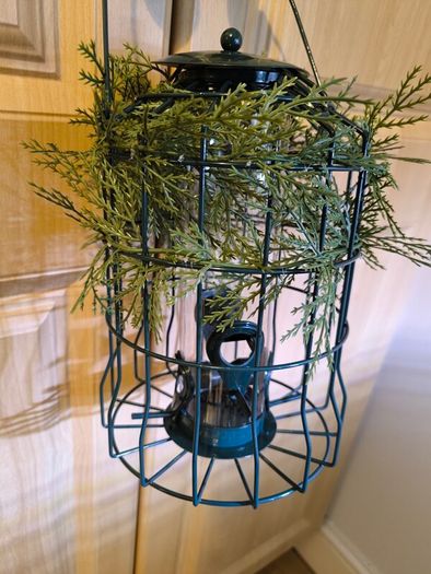 Bird feeder