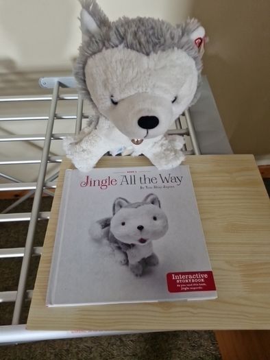 book + teddy