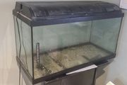 Fish Tank