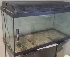 Fish Tank