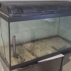 Fish Tank