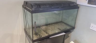 Fish Tank