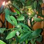 Christmas selection Image 8