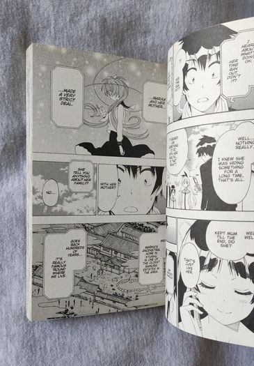 Nisekoi False Love vol.21 manga anime chitoge kirisaki onodera kosaki raku ichijou seishirou tsugumi