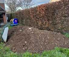 Free soil