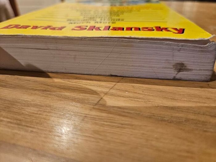The theory of poker by David Sklansky