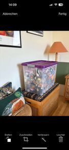 110 Vintage ty Beanie Babies