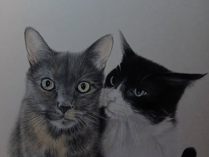 pet