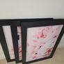 3 pictures with frame 53x72 cm Image 8