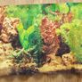 Marina 80 Litre Aquarium Image 4