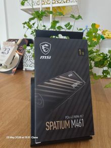 Msi Msi Spatium M461 Pcie 4.0 Nvmme