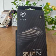 Msi Msi Spatium M461 Pcie 4.0 Nvmme