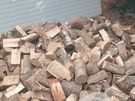 Firewood 2026 Image 5