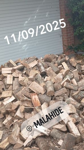 Firewood 2026