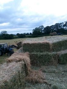 Small square bales of 2026 hay