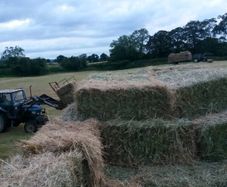 Small square bales of 2026 hay