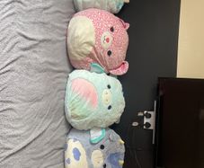 Squish mellow teddies