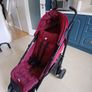 stroller Image 5
