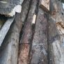 timber Image 3