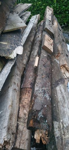timber