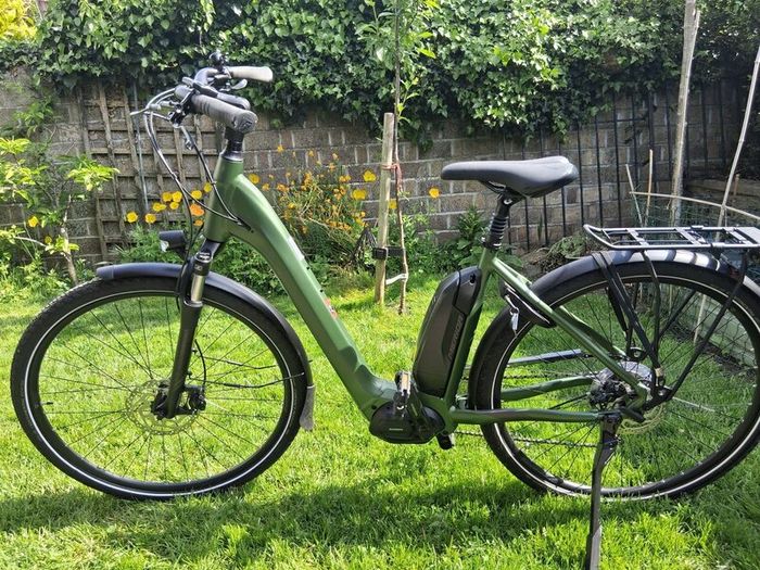 Ladies Electric Bike