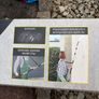 Extendable power washing lance Image 6