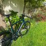 12 speed Di2 Ultegra road bike Image 7