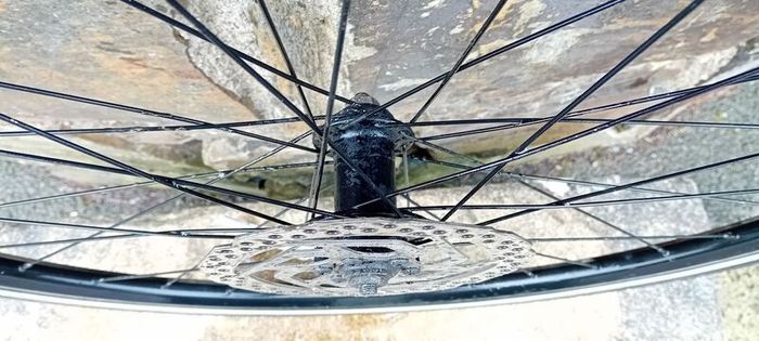 28 Inch Front Disc Wheel