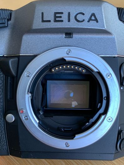 Leica R9 (anthracite finish) with Digital-Modul-R digital back
