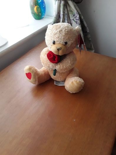 brand new teddy bear