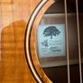 Tanglewood Electro Acustic Guitar Image 2